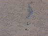 Bad Stucco Job